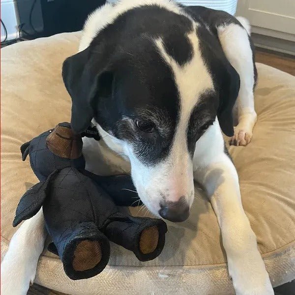 ChewPulse interaktív kutyajáték erős rágóknak és játékos kölyköknek